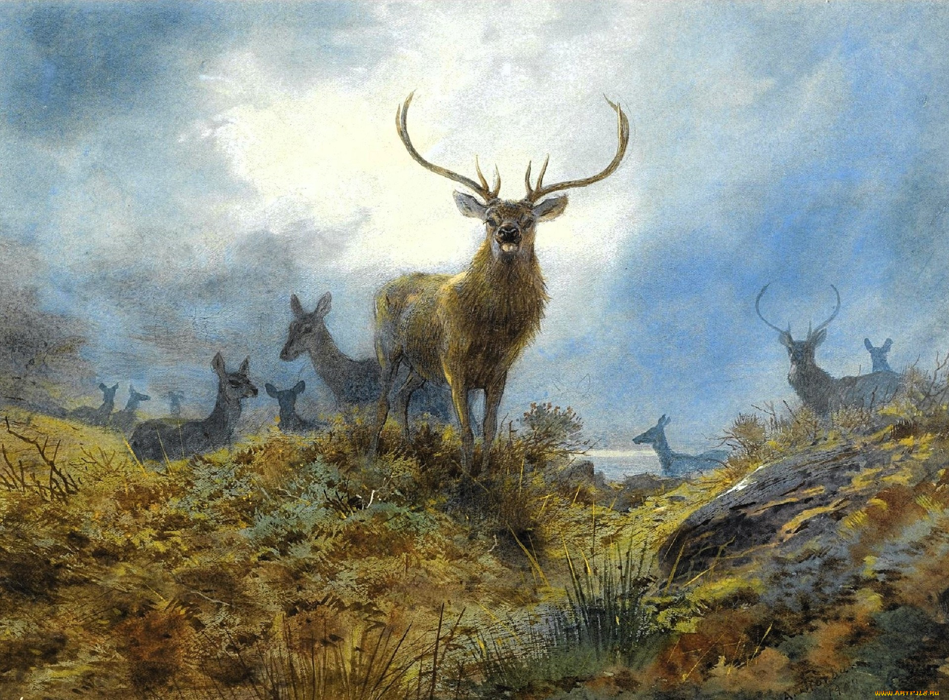 , archibald thorburn, , , , 